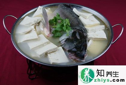 鱼头豆腐汤