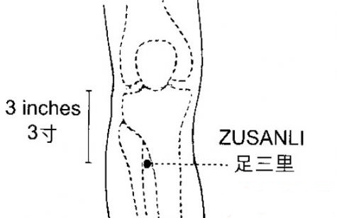 按摩足三里穴位的作用