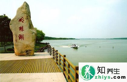 崇明岛