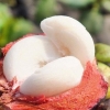 春季防病多吃哪些水果？菠萝补脾山竹降燥草莓健脑
