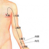 经络排毒养颜的方法?手厥阴心包经利于心脏(图文)
