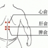 8大穴位拔罐治病的方法,为您打开任、督二脉