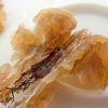 林蛙有哪些功效？怎样食用？